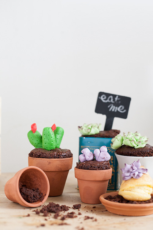 food_cactus_cake_jardin_culinaire